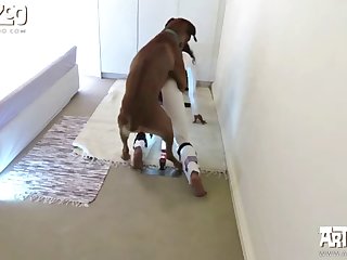 Extreme Porn Telegram Group