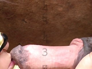Maxx Extreme Porn Star