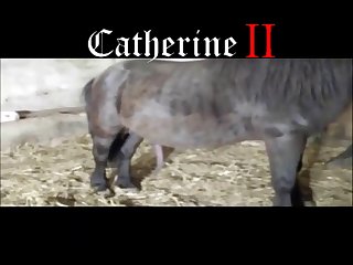 new Horse porn videos page 1 at theanimalporn.com