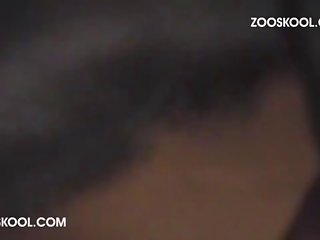 Extreme Interational Porn