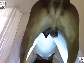 Extreme Dirty Anal Porn