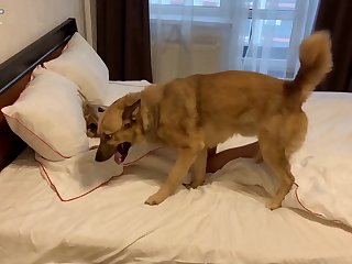 Extreme Loose Ass Porn