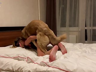 Extreme Bondage Rape Porn