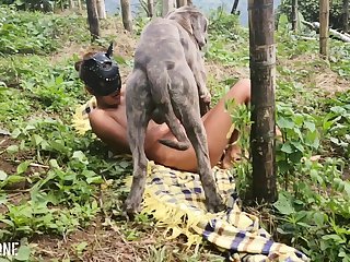 What Is The Most Extreme Porn