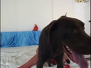 Extreme Anal Close Up Porn