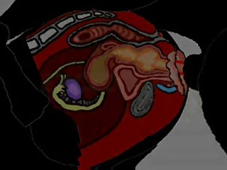 Man Fuck Small Dog Anal