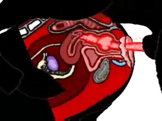 Man Fuck Small Dog Anal