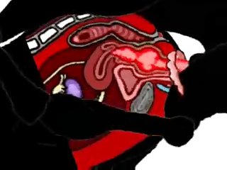 Man Fuck Small Dog Anal