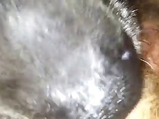Big Dog Teen Fuck