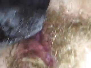 Big Dog Teen Fuck