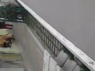 Fuck Dog Sex Video