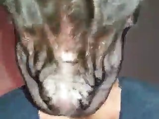 Man Fuck Dog 2023