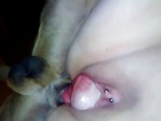 Pamela Dog Fuck