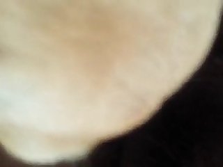 Dog Fuck On Cam