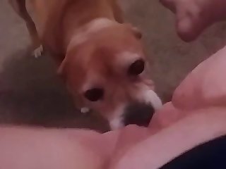Hot Blonde Fuck By Dog
