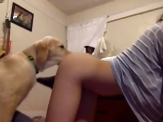 Hentai Girl Fuck By Dog