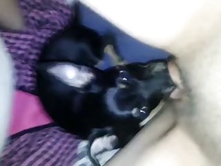 Mature Dog Fuck Porn