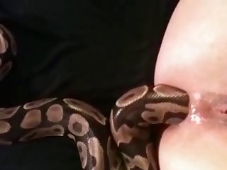 Porn Dog Fuck Mouth