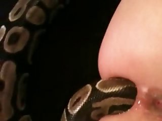 Porn Dog Fuck Mouth