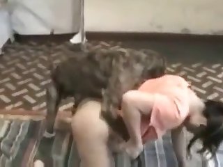 Dog Fuck Girl Rule 34