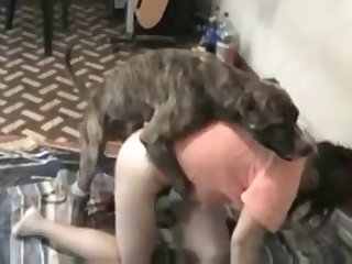 Dog Fuck Girl Rule 34