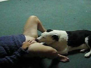 Dog Fuck Knot Girl