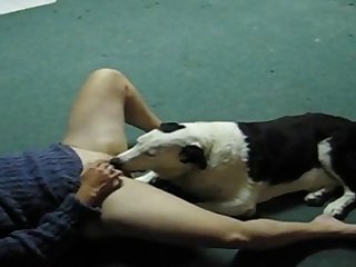 Dog Fuck Knot Girl