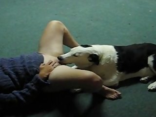 Dog Fuck Knot Girl