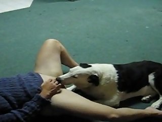 Dog Fuck Knot Girl