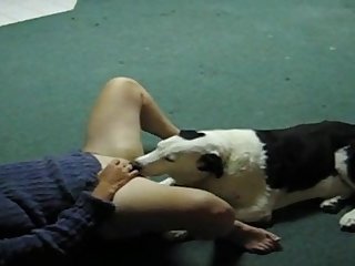 Dog Fuck Knot Girl