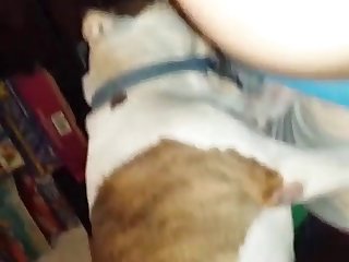 Big Dog Fuck Boy