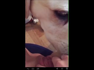 Literotica Young Girl Learns How To Fuck Her Dog