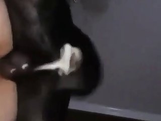 Lexibaby Dog Fuck