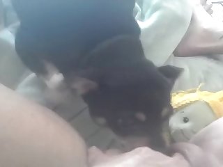 Teen Fuck Dog Hd