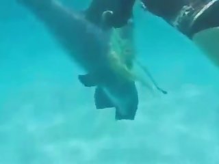 Amazing Dog Fuck