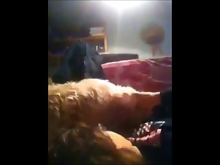 Dog Want Fuck Girl