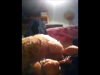 Dog Want Fuck Girl