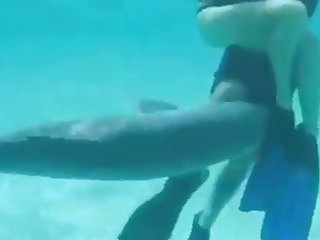 Amazing Dog Fuck