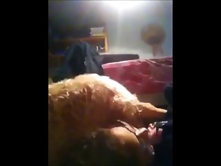 Dog Want Fuck Girl