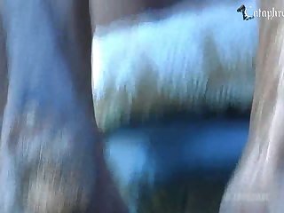 Animal Movies Sex