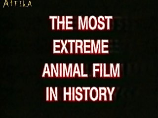 Girl Sex With Animal Hentai