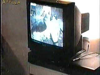 Japanese Sex Animal