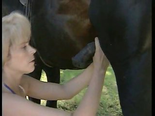 Animal Sex Vadio