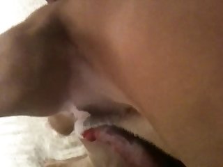 Caseros Zoofilia Xxx