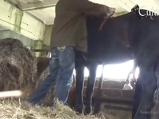 Skirby Dog Video Leak Porn