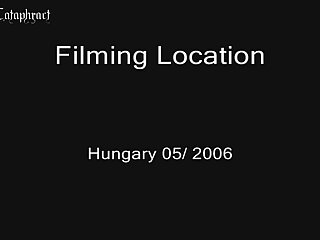 Pornhub Theme Animal Crossing