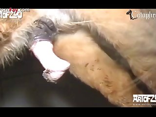 Dog And Girl Video Porn