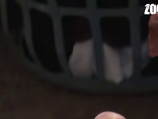 Animal Zoo Tube Porn