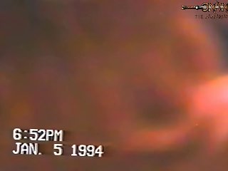 Animal Sex With Wemen