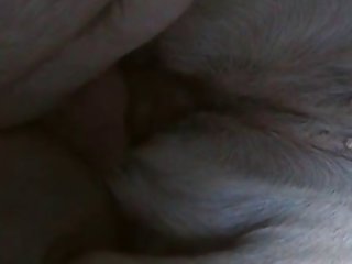 Animal Sex Dvd